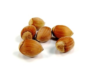 hazelnut