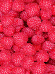 Raspberry berries