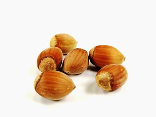 Hazelnut