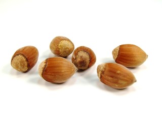 hazelnut