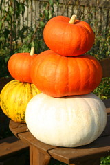 Pile of Pumpkins