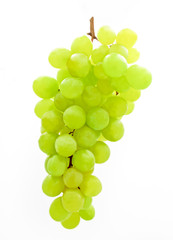 Bunch of Green Grapes