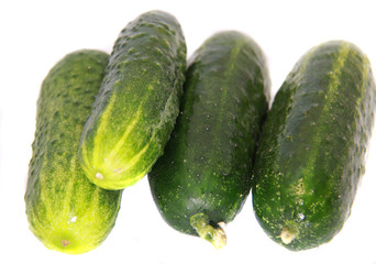 Ripe green cucumbers-natural source of vitamins and freshness