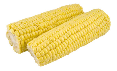 two sweetcorn cobs isolated on white background