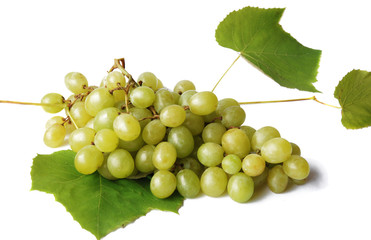 grape