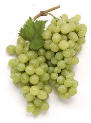 Uva bianca