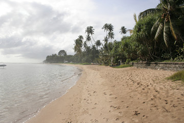 Sri Lanka Strand