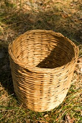 small basket in a forest