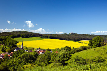 Landschaft Unterbodnitz, Thüringen, Leuchtenburg am Horizont