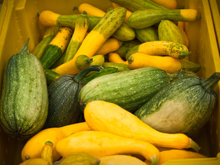 Green and yellow market squash