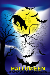 Halloween Illustration