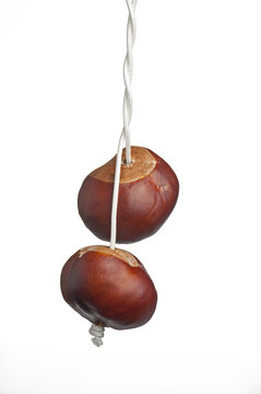 conkers on string