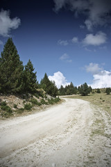 paved mountain road with trees