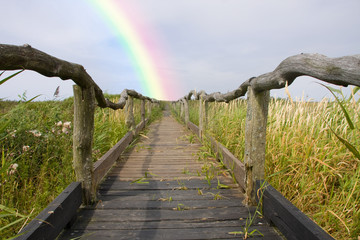 regenbogen