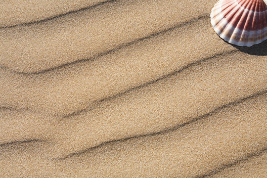 Sand and shell