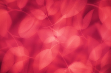 葉っぱ模様のテクスチャ