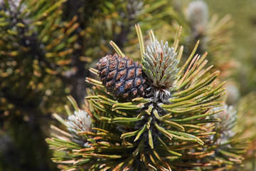 parco nazionale del pollino