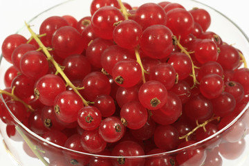 Rote Johannisbeeren