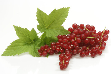 Rote Johannisbeeren