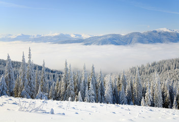 winter mountain landscape