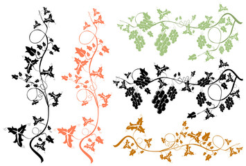 Naklejka premium grapevine
