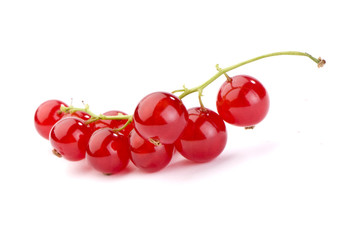 red currant