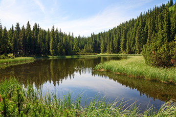 Summer mountain forest lake