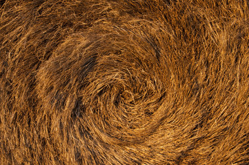 Meule de lin dans un champ