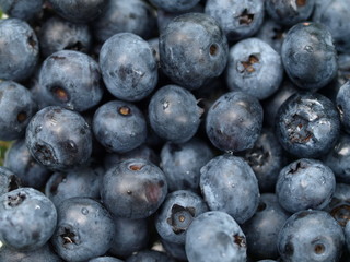 Blueberries background