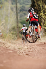 Fototapeta premium Vtt