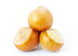 Fototapeta premium hazelnuts