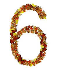 Number six made of exotic colored butterflies