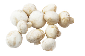 Champignon mushrooms