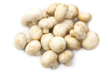 Champignon mushrooms