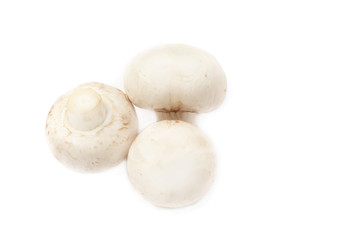 Champignon mushrooms