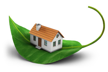 Symbolized home on green leaf - Ecological concept