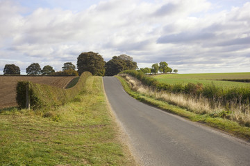 Fototapeta premium english country road