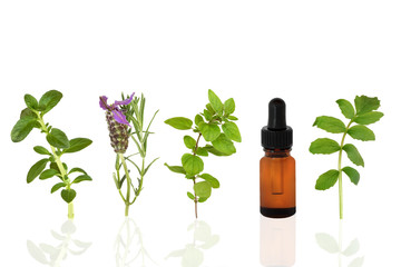 Healing Herbs