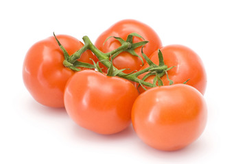 fresh tomatoes