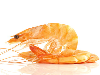 Shrimps