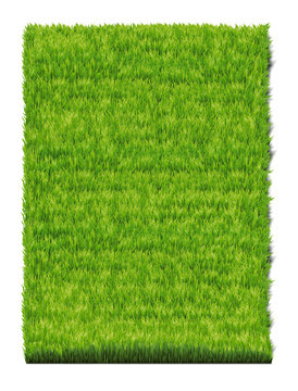 grass-plot