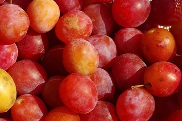prunes fraîches