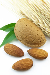 Almond with wheat