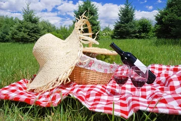  picknick setting met wijn © Li Ding