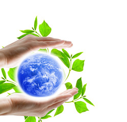 ecology concept