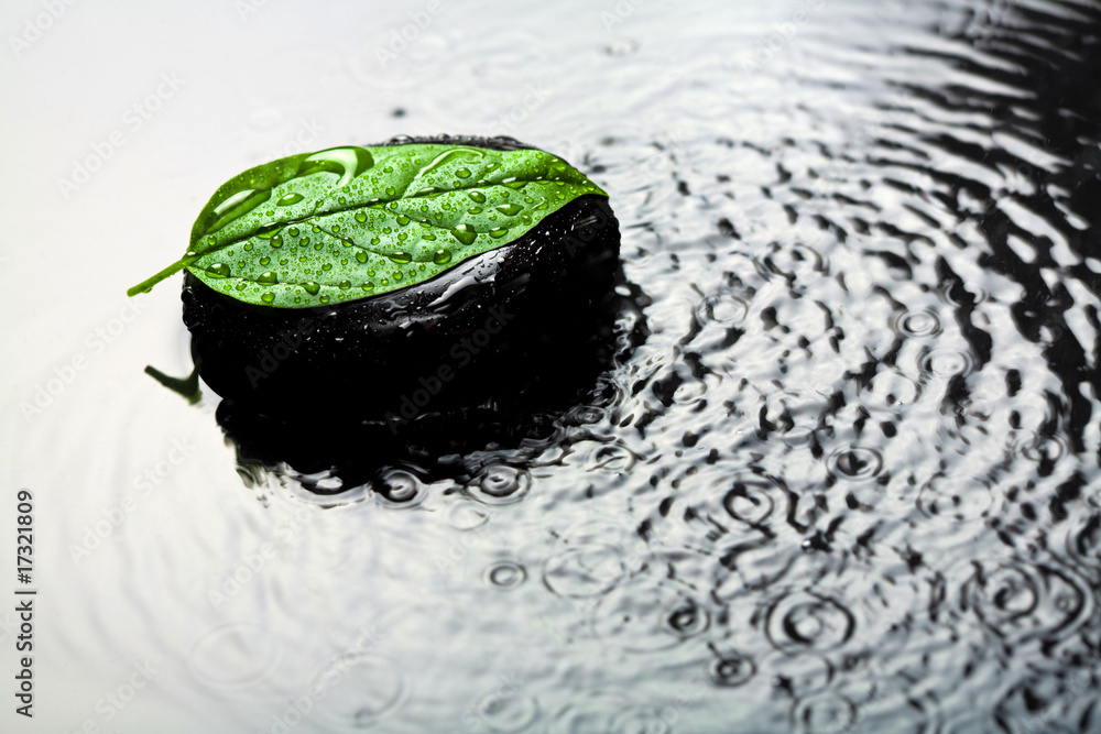 Canvas Prints spa stone and leaf in water