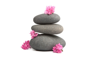 spa stones and flowers isolated