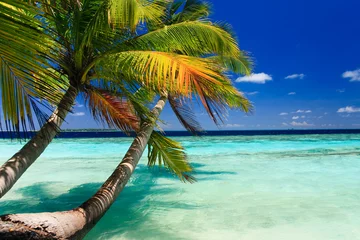 Fototapeten Tropical Paradise at Maldives © Anobis