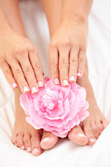 beautiful feet and hands