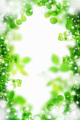 Fototapeta premium 新緑